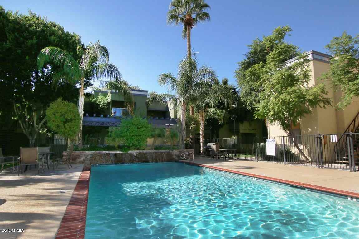 740 W Elm St #105 - Photo 2 of 19