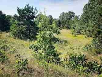 1729 N Keystone Rd - Photo 5 of 19