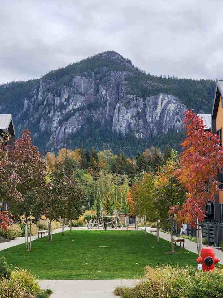 38009 Keel Way #B - Photo 5 of 20