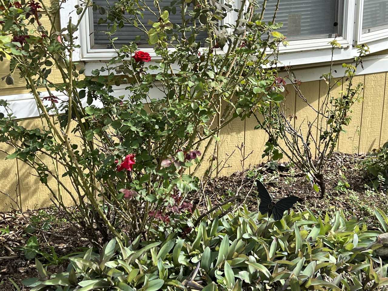 50 Willowbrook Court #1 - Photo 2 of 31