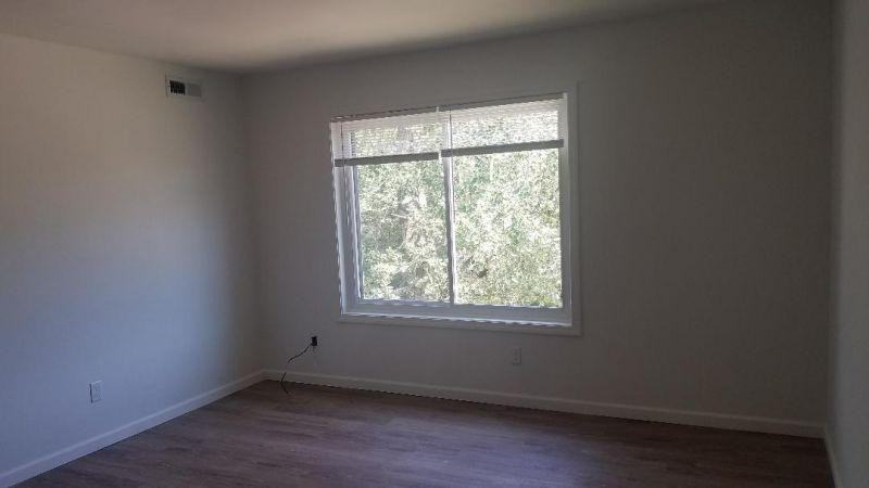 202 S Paw Paw St #6 - Photo 6 of 11