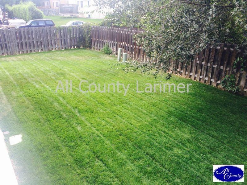 3921 Sunlight Ct - Photo 3 of 10