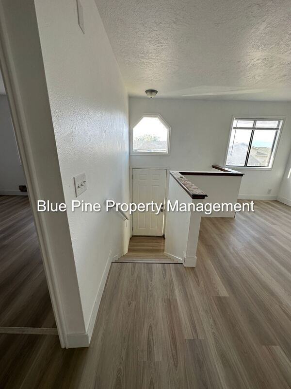 1224 Holman Ave - Photo 3 of 13