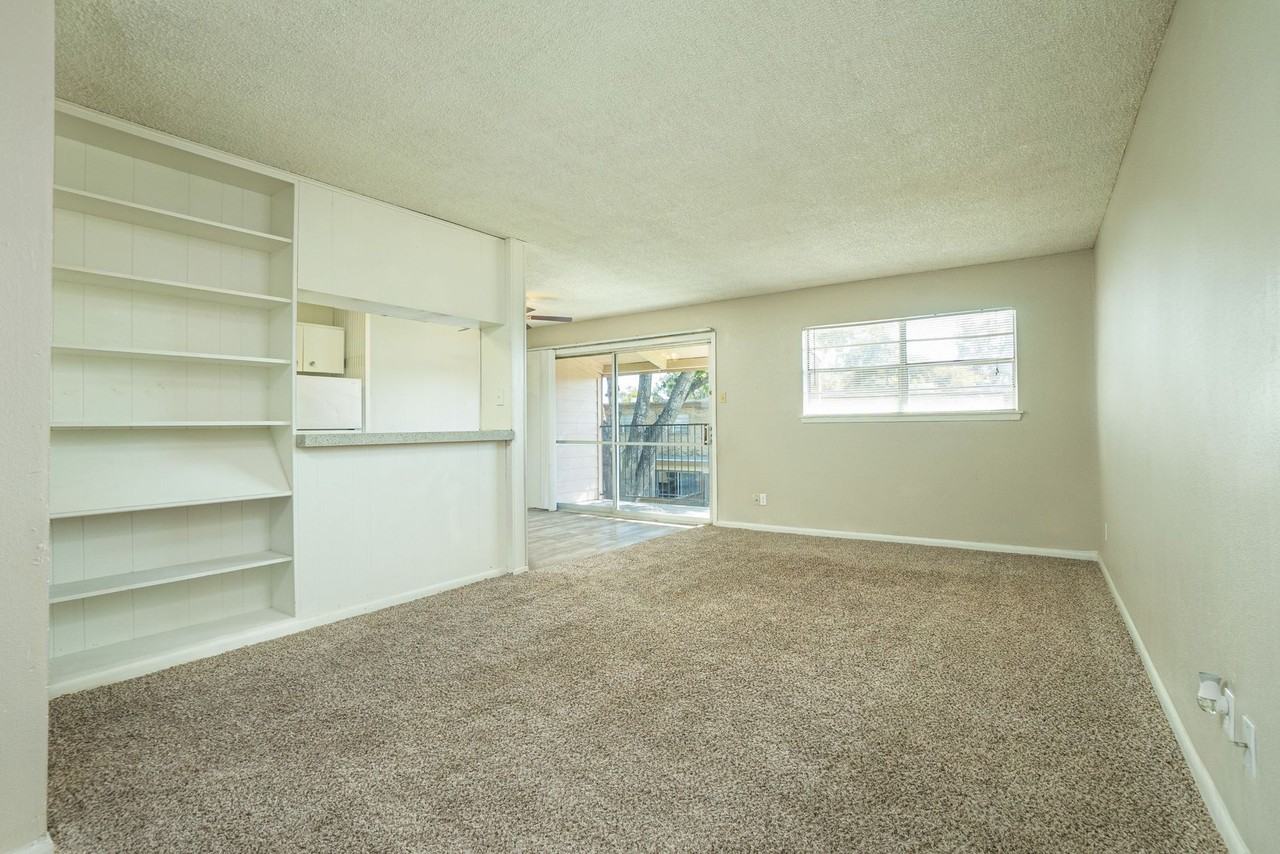 Gold Talon - Photo 7 of 26