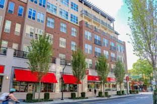 Carolina Square - Photo 1 of 1
