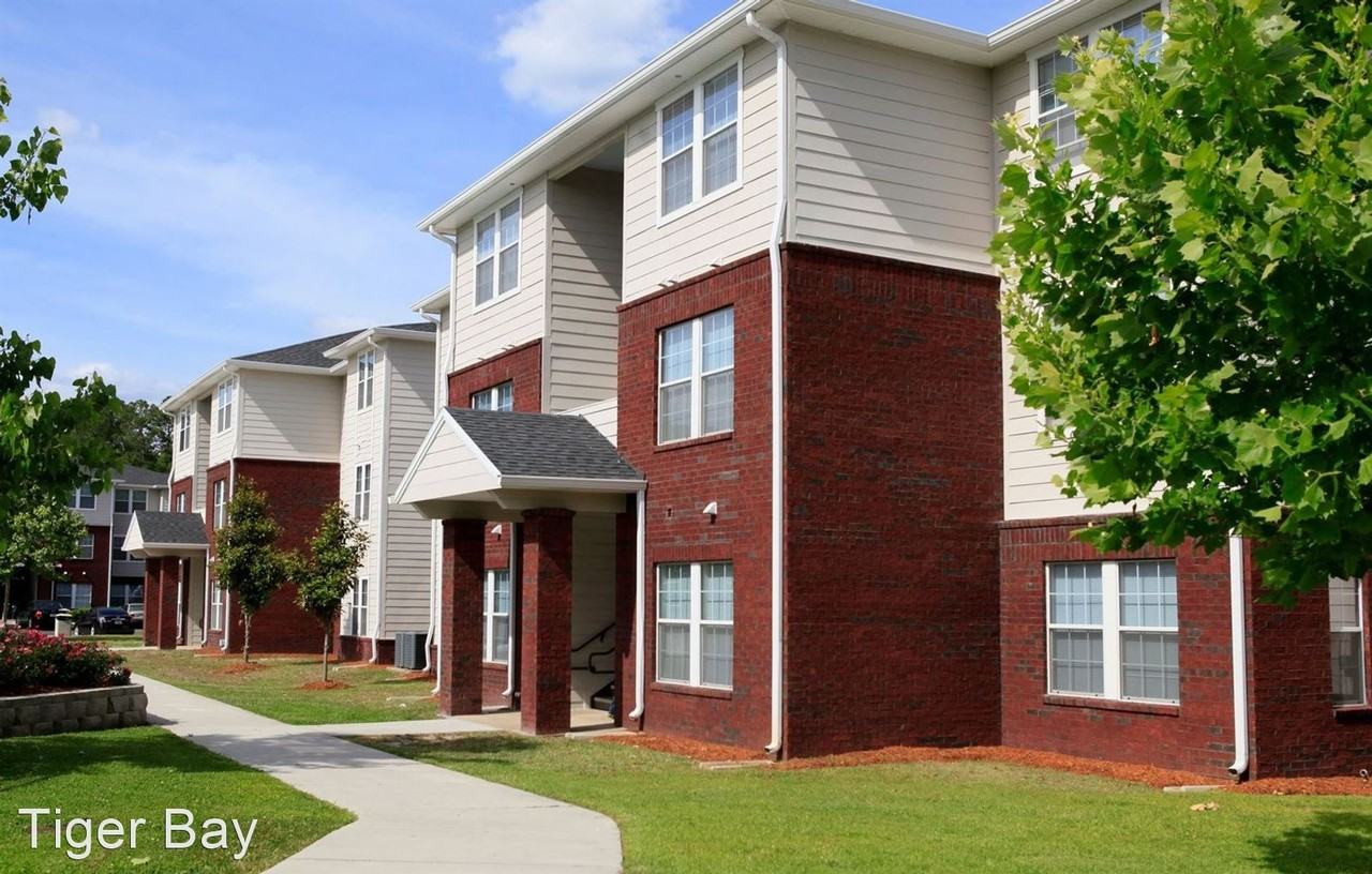 Tiger Bay - Photo 3 of 30