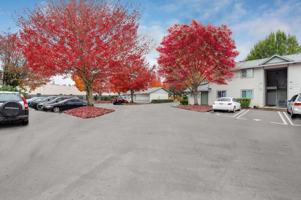 featured image of 1500 Ne 27th St Apt 83