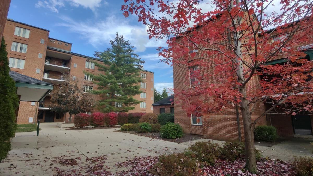 186 Mill St - Photo 4 of 10