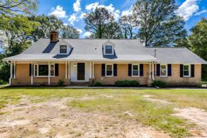 featured image of Belva St