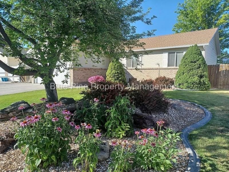 4342 Williamsburg Ln - Photo 2 of 29