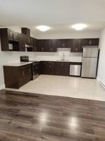 featured image of 8723 74 St Lowr #DN