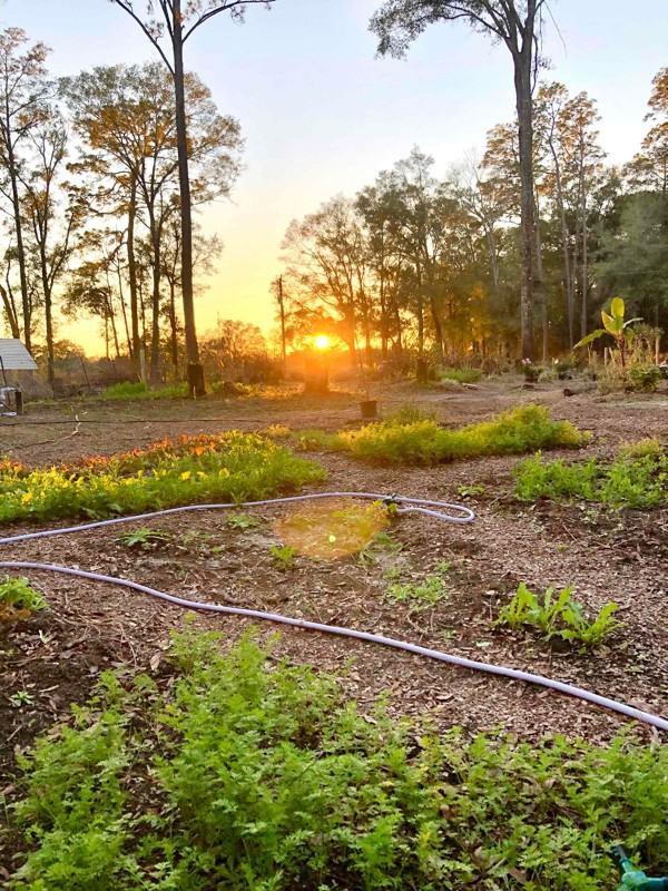 13082 229th Dr - Photo 2 of 50