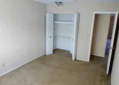 Park Forest Apartments *EPM* - Photo 7 of 50