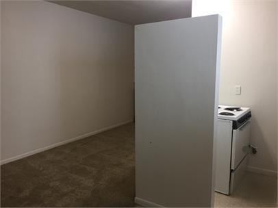 WASHINGTON ST. -217-219 - Photo 3 of 26