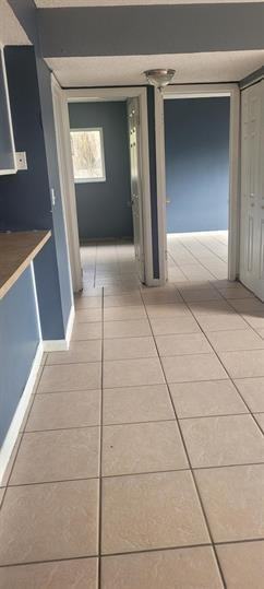 Blossom Terrace - Photo 3 of 17