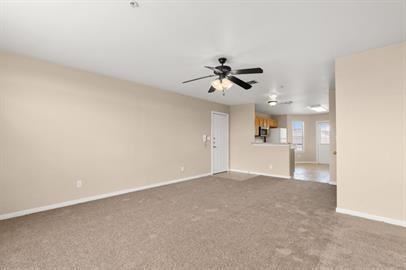 Douglas Fir Drive 3119 - Photo 7 of 35