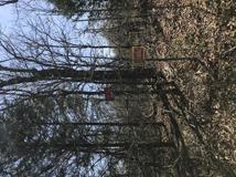 King Street  5401 - Photo 1 of 1