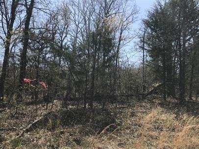 King Street  5401 - Photo 7 of 30