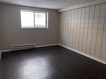 1126 W 4th St - Photo 6 of 22