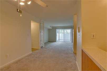 Everglades #301 - Photo 6 of 50