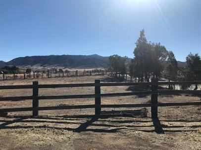 21281 McIntosh Street #1 - Photo 3 of 15