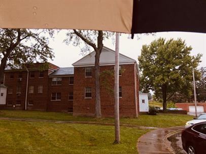 Forest View Apartment - Photo 5 of 18