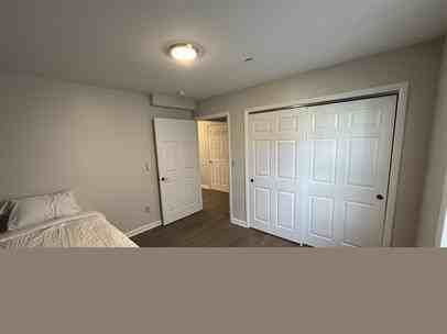 Bobcat - Photo 4 of 8