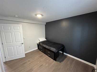 Bobcat - Photo 5 of 8