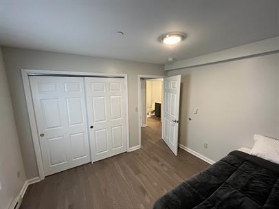 Bobcat - Photo 6 of 8