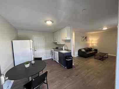 Bobcat - Photo 7 of 8