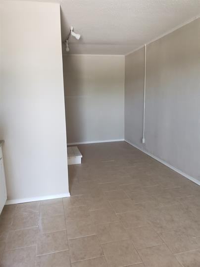2600 S. Flores - Photo 5 of 50