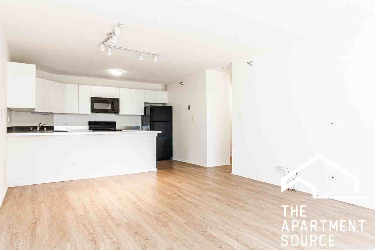 1120 N La Salle Dr #17N - Photo 2 of 12