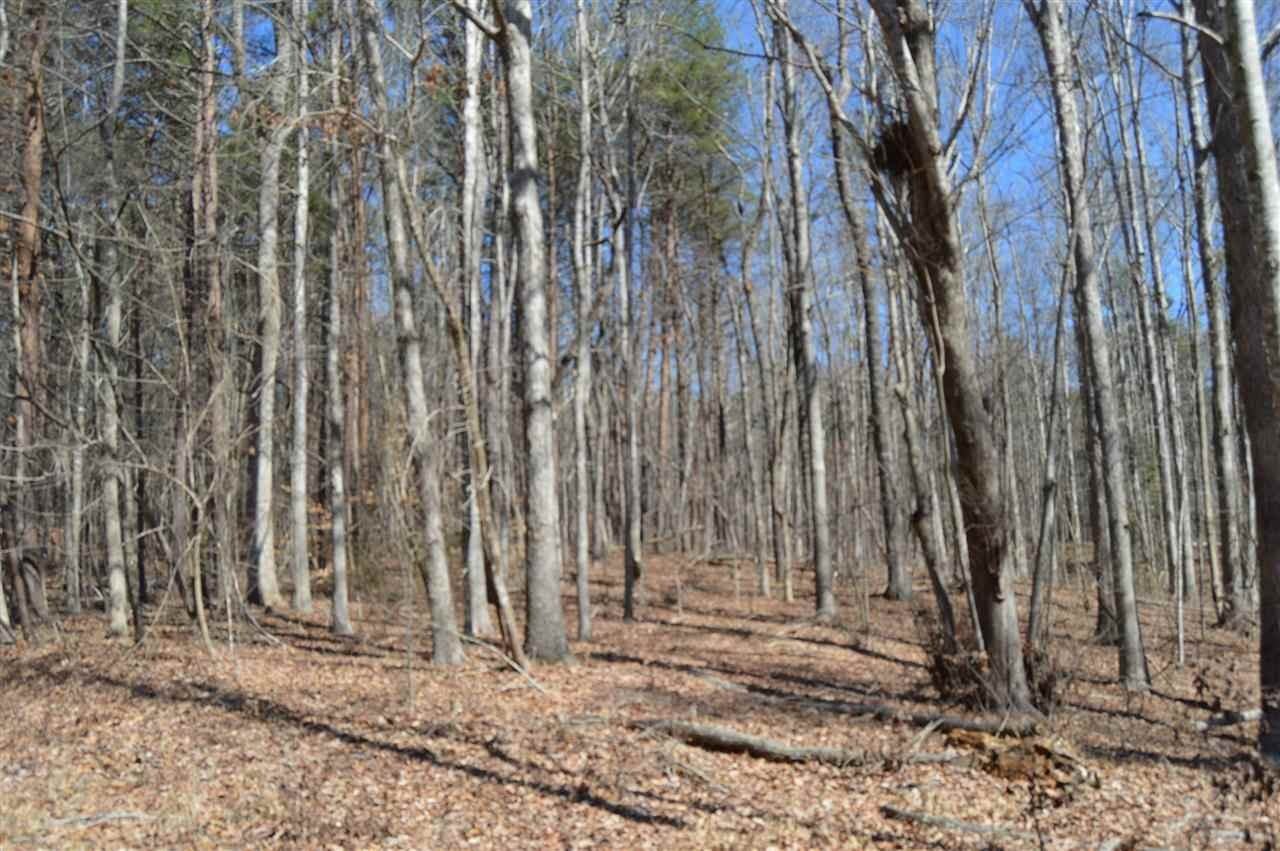 315 Blue Ridge Ct - Photo 2 of 3