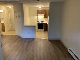 featured image of Blossom St #2