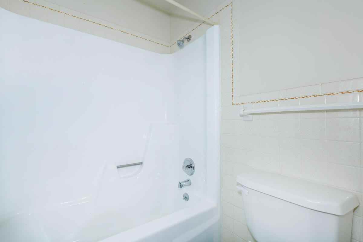 London Square and Blue Spruce - Photo 4 of 50