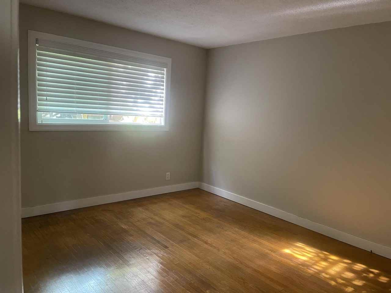 55 Roque Moraes – 1 #1 - Photo 3 of 14