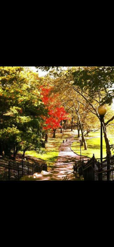 90 Schuyler Ave #1 - Photo 5 of 15