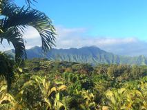 4362 Ulua St - Photo 1 of 1