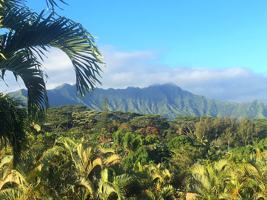 featured image of 4362 Ulua St