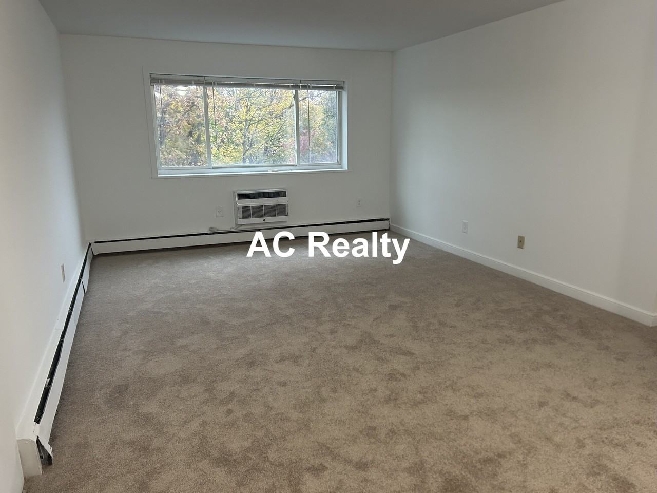 311 Washington Ave #31 - Photo 4 of 7