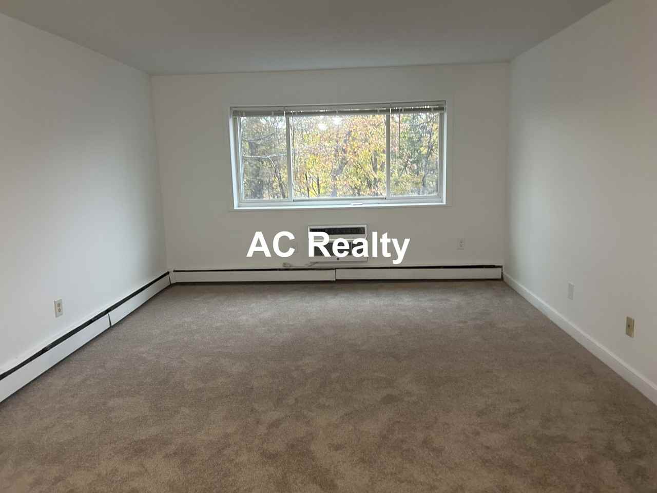 311 Washington Ave #31 - Photo 5 of 7