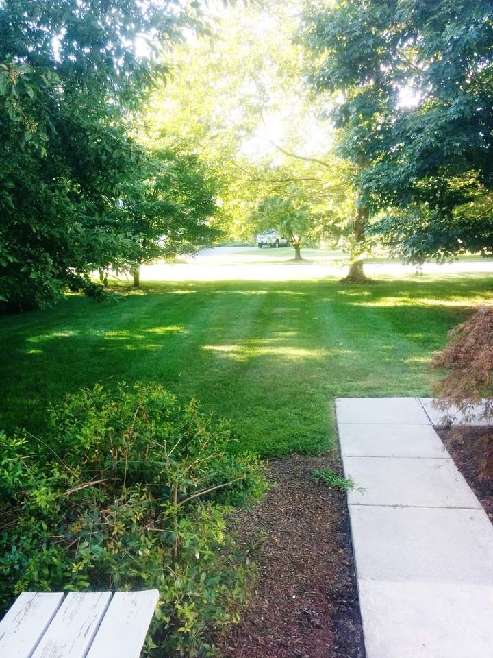 1806 Masters Way - Photo 3 of 35