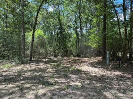 featured image of 310 Cotten Ln #1