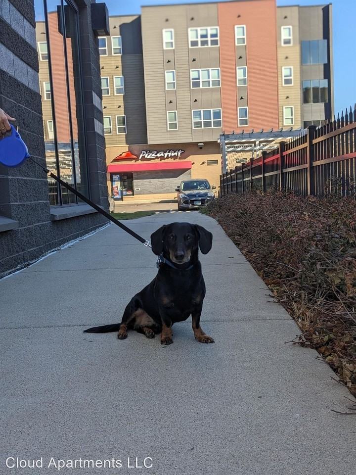 Rooms for Rent in St. Cloud, MN Zumper