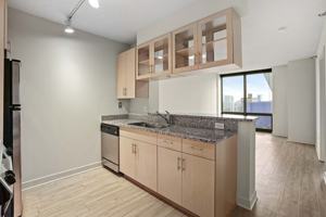 featured image of 1255 S Michigan Ave #2-1