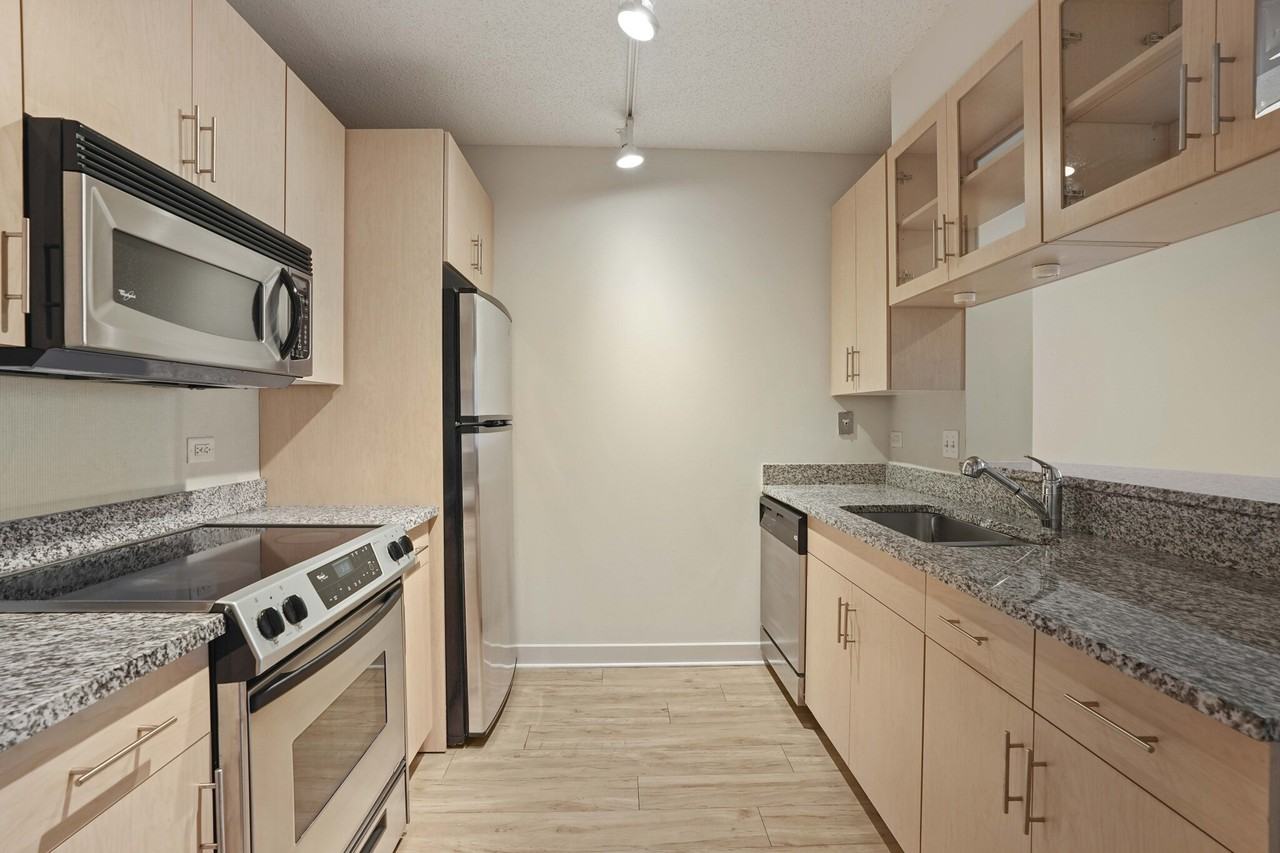 1255 S Michigan Ave #2-1 - Photo 2 of 18