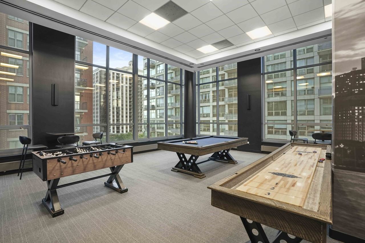 1255 S Michigan Ave #2-1 - Photo 7 of 18