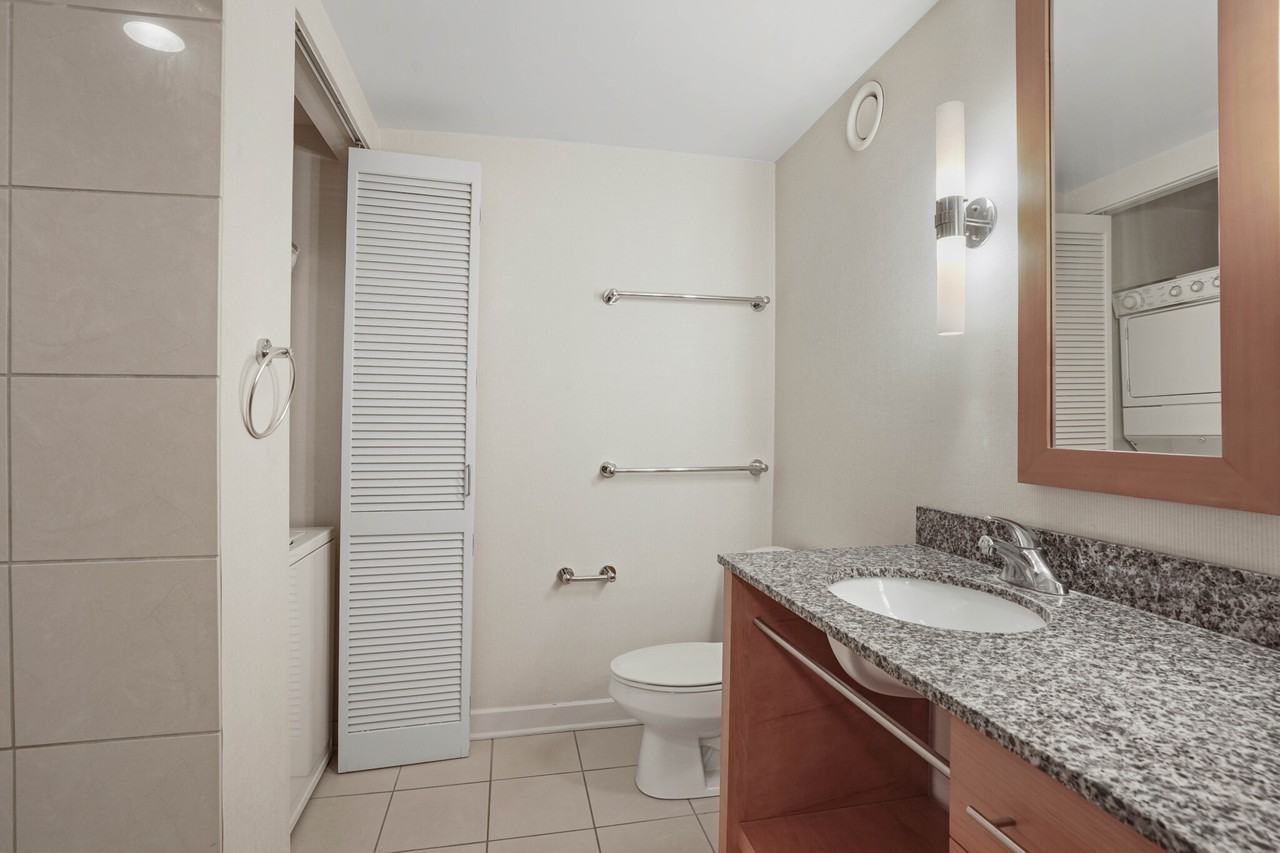 1255 S Michigan Ave #1-1-5PH - Photo 5 of 21