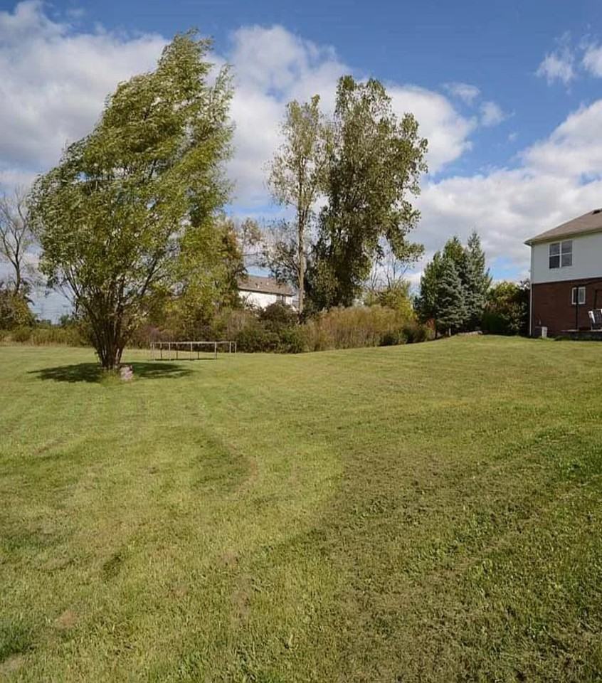 14102 Country Walk Blvd 1 - Photo 2 of 16
