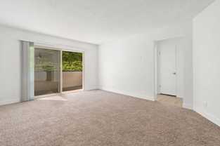 2401 Seaside St - Photo 1 of 1